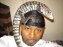 HEAD shot