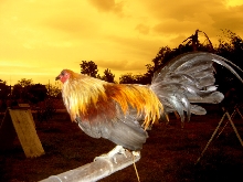 CHICKEN