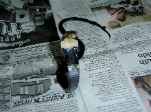 BLACK SPITTING COBRA