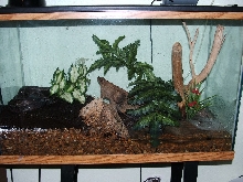 Macklot Setup