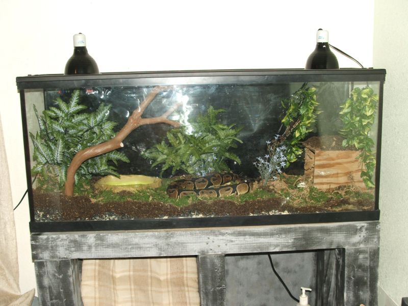 New Python Setup