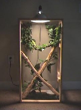 Chameleon cage 1