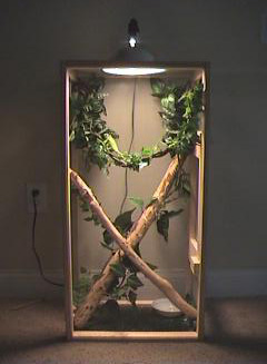 Chameleon cage 1