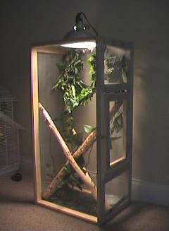 Chameleon cage 2