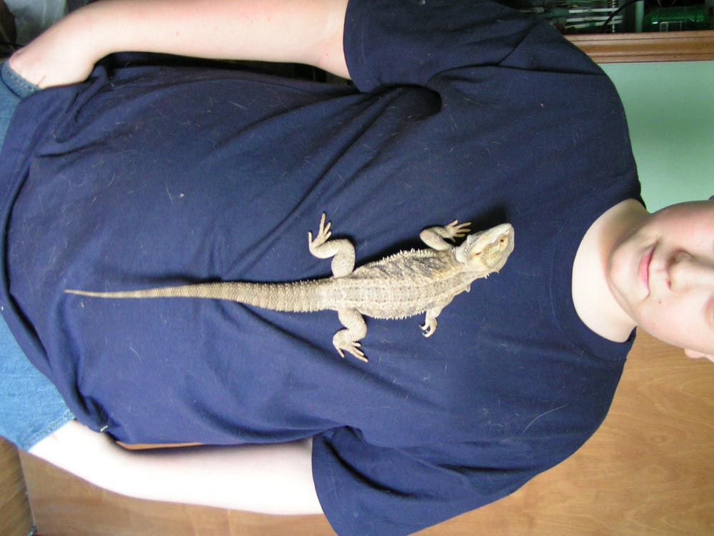 Izzy