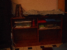 New Gecko Set-Up