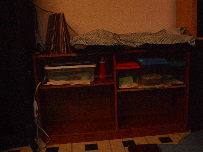 New Gecko Set-Up