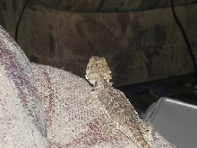 My little girl, better image