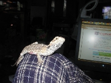 Draka