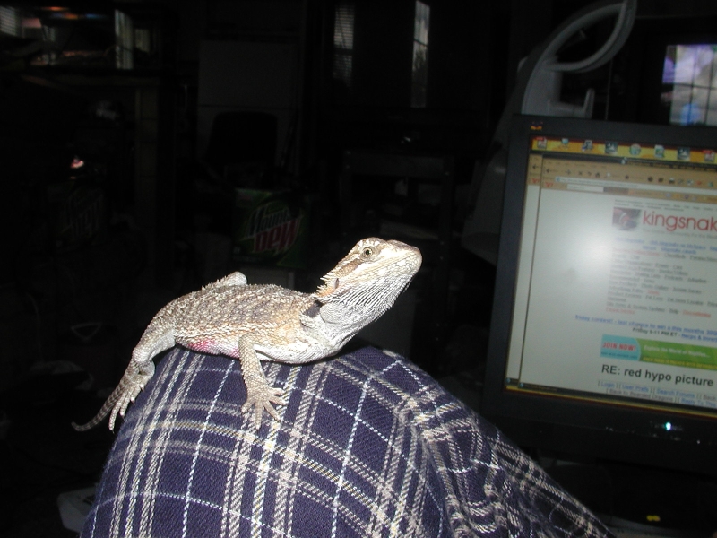Draka