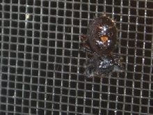 what's this?