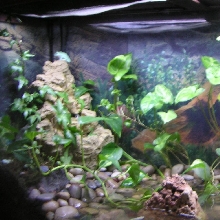 setup