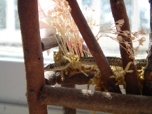 slim the garter snake