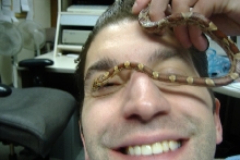 "Crikey" !!