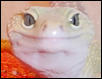 Smiley!!!