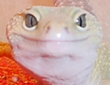 Smiley!!!