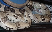 My Precious 2