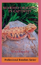 Ginger on book cover