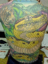 My Chondro backpiece