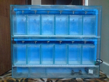 Betta multi set-up