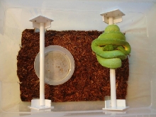 chondro sauna 1