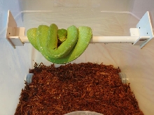 chondro sauna 2
