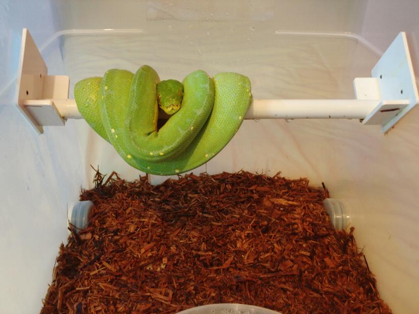 chondro sauna 2