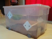 chondro sauna 3
