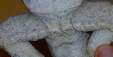 male/female2