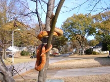 I love my tree