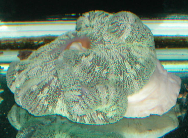 Saltwater Photos