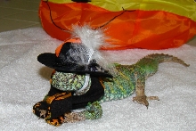 Husani Says Trick or Treat