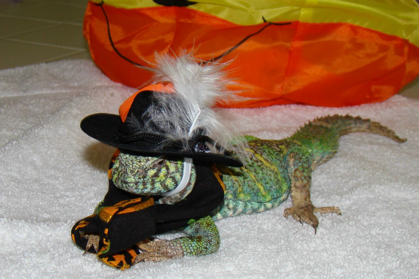 Husani Says Trick or Treat