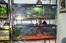 Aquatic America Cages
