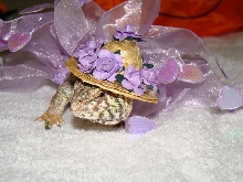 Trick or Treat From Zari