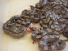 CA Motley clutch