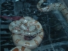 hypo