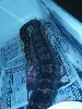 CA MOTLEY GRAVID FROM CHAOS