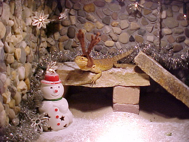 xmas