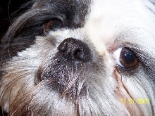 Sweet face