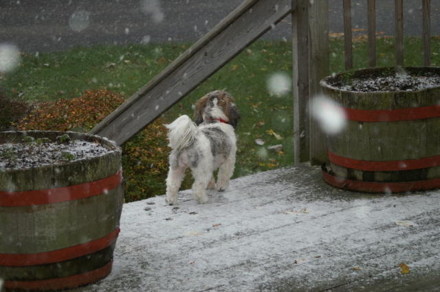 snow