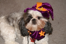 Happy Halloween