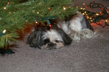 Waitin for Santa