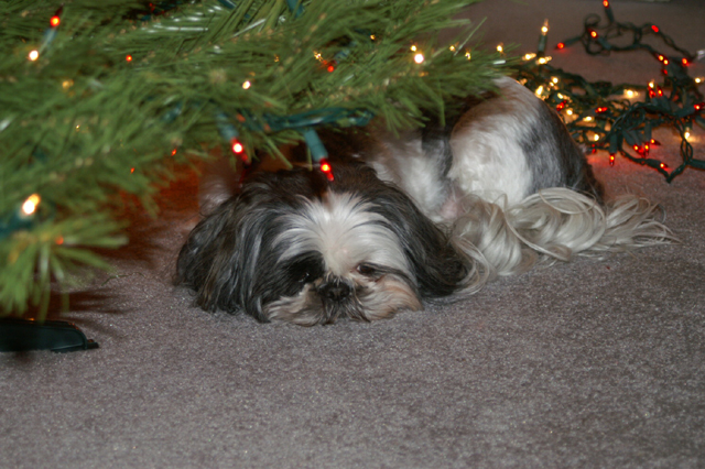 Waitin for Santa