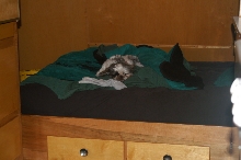 still half sleeping