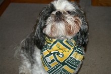 packers
