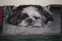 blanket