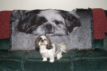 sissy&blanket