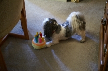 4th birthday