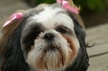 Sissy, my sweet baby girl.